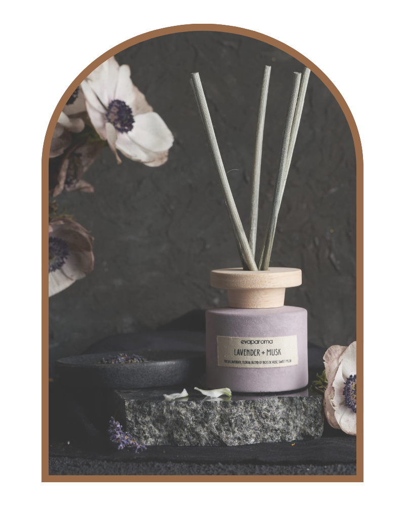 Reed Diffusers – evaparoma.com